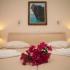 THALASSA APARTMENTS, private accommodation in city Lefkada, Greece - STUDIO 2 BEDROOM