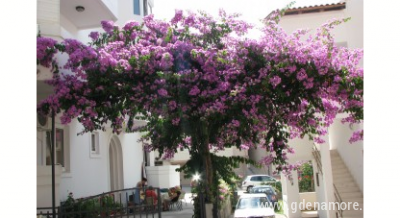 Bučuk apartmani, private accommodation in city Bečići, Montenegro