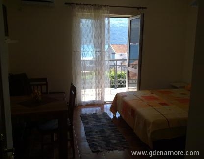 APARTMANI TOMANOVIC, private accommodation in city Djenović, Montenegro