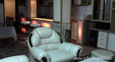 Apartman ALEKSANDAR***, Privatunterkunft im Ort Ohrid, Mazedonien
