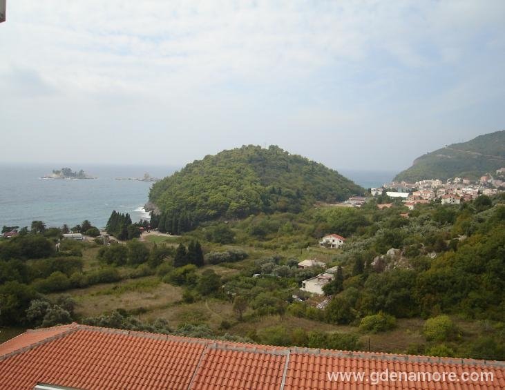 Pogled