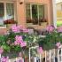 Hotel Villa Veneta, logement privé à Lido di Jesolo, Italie - Ulaz