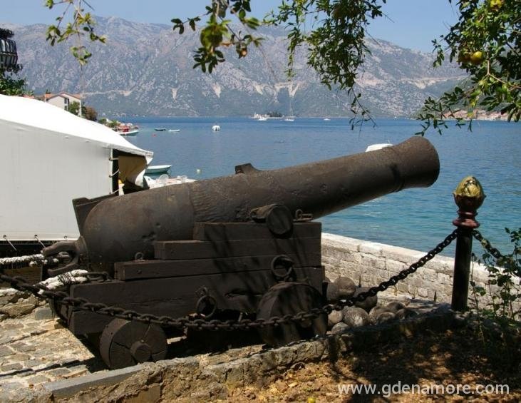 Pogled