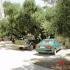 Rentaki Villas Apartments, Privatunterkunft im Ort Zakynthos, Griechenland