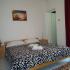 Sobe i apartmani Rabbit - Budva, private accommodation in city Budva, Montenegro - Apartman br.22