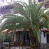 Mantzanas Apartments, Privatunterkunft im Ort Halkidiki, Griechenland