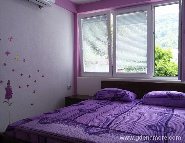 Apartman br.1