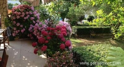 APARTMANI-DORA-MURTER, alloggi privati a Murter, Croazia