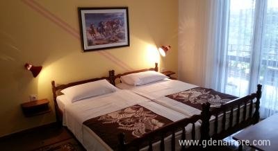 Apartman, Privatunterkunft im Ort Budva, Montenegro