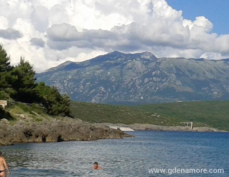 Oblatna