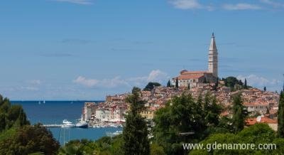 APP Petrović, Privatunterkunft im Ort Rovinj, Kroatien