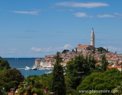 APP Petrović, Privatunterkunft im Ort Rovinj, Kroatien - Pogled sa balkona