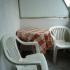 Sobe i apartmani Rabbit - Budva, private accommodation in city Budva, Montenegro