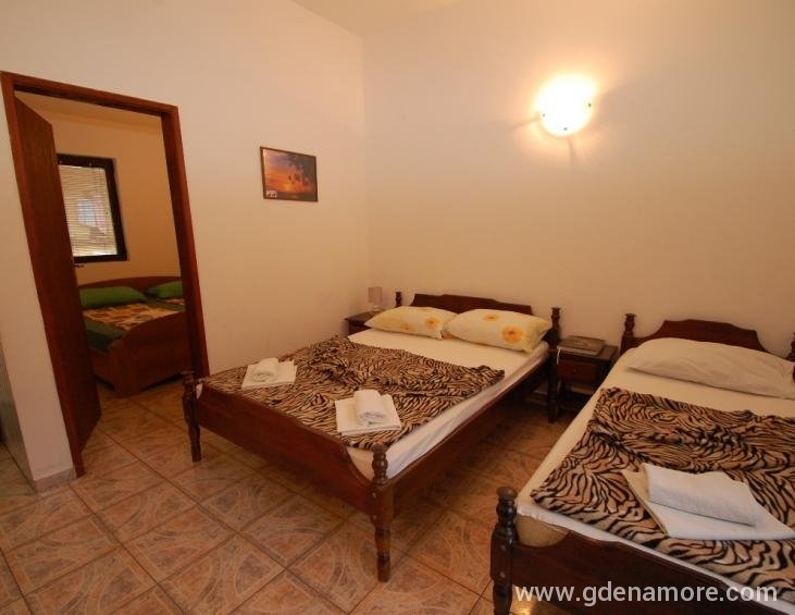 Apartman br.1
