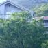 Apartmans, Privatunterkunft im Ort &Scaron;u&scaron;anj, Montenegro - kuca