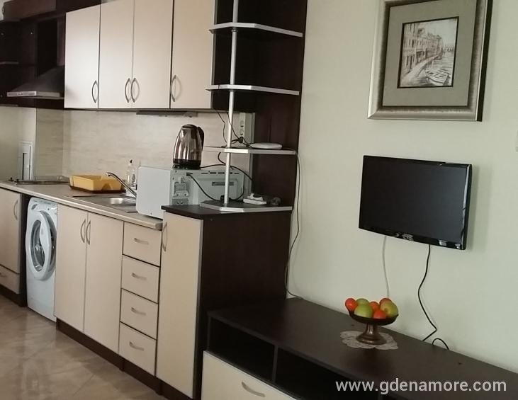 Apartment 2-living room with kitchen