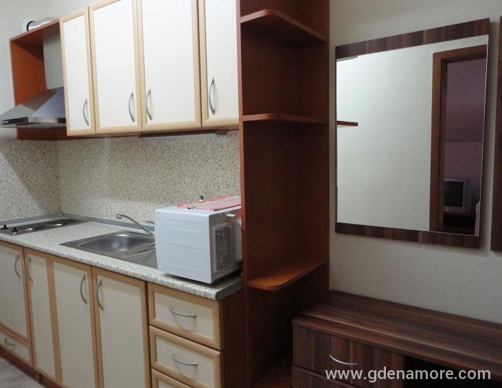Apartment 1-studio with separate kitchen