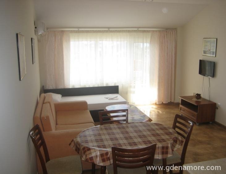 Apartment 3-living room with kitchen