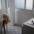 Apartmani Nikolić, Частный сектор жилья Будва, Черногория - Dvo-tro apartman 5