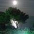 Villa Oasis, Privatunterkunft im Ort Halkidiki, Griechenland - full moon