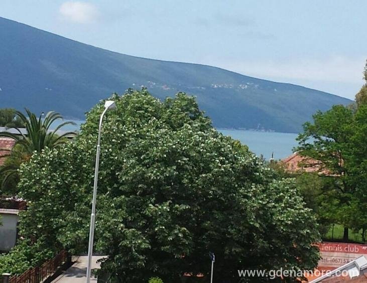 pogled
