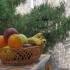 Lucky, Privatunterkunft im Ort Budva, Montenegro