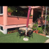 Apartmani Nikicic, logement privé à Bar, Mont&eacute;n&eacute;gro