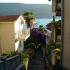 Apartmani Herceg Novi Topla, private accommodation in city Herceg Novi, Montenegro