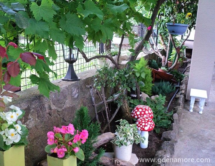 Dvorište / Yard