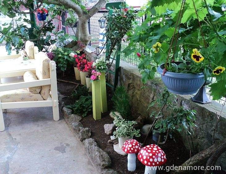 Dvorište / Yard