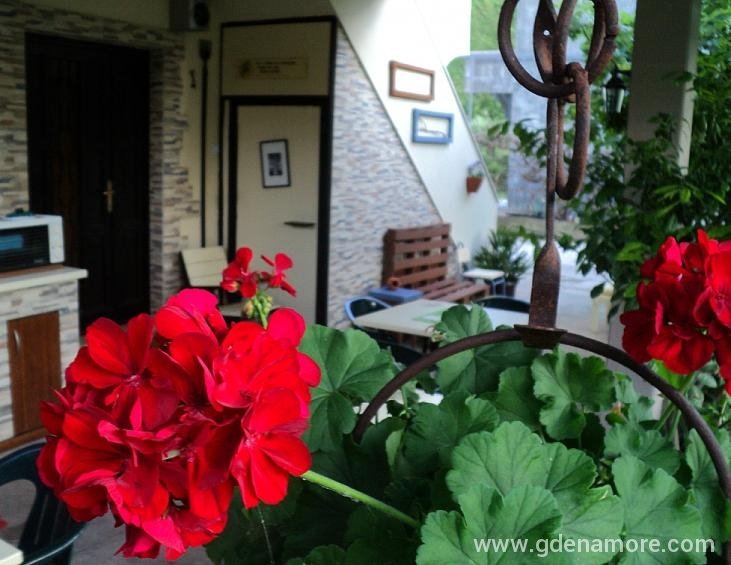Dvorište / Yard