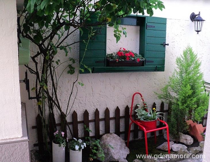 Dvorište / Yard