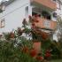 Apartmani Stevović, Privatunterkunft im Ort Igalo, Montenegro