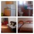 Apartmani, alloggi privati a Radovići, Montenegro