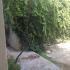 Apartmani Serovic, Privatunterkunft im Ort Bijela, Montenegro