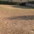Vila Sport, Privatunterkunft im Ort Sutomore, Montenegro