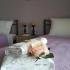 Maisonette De Luxe, private accommodation in city Kavala, Greece