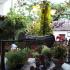 Apartments Hotel Magani, Privatunterkunft im Ort Pelion, Griechenland