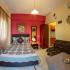 Iliadis House, private accommodation in city Sarti, Greece