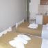 VILA KARAFELAS, private accommodation in city Skiathos, Greece