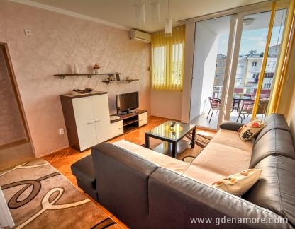 Apartmani BIS Budva, private accommodation in city Budva, Montenegro - Dnevna soba