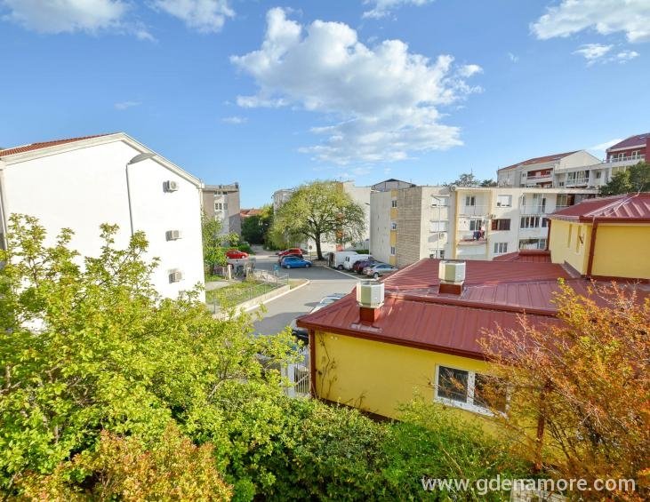 Pogled