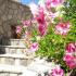 Apartmani Miki, Privatunterkunft im Ort Bar, Montenegro