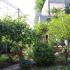 Kuca, private accommodation in city Budva, Montenegro