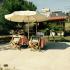 STUDIOS TRIPITI, Privatunterkunft im Ort Halkidiki, Griechenland - Studios Tripiti Atos