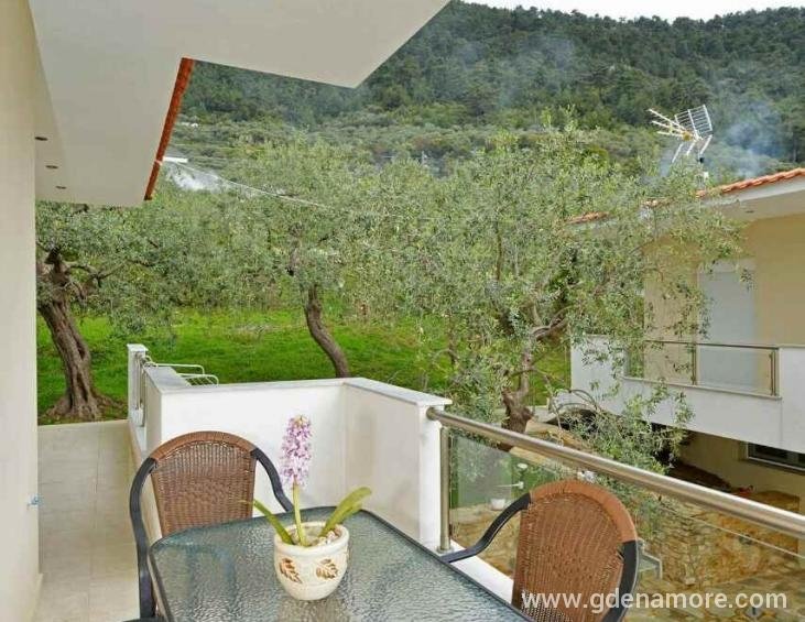 Vila Ilias Luxury Tasos
