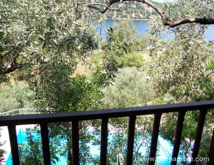 Vila Milina Holiday Pilion