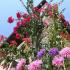 VILA ALKYON LUXURY RESORT, alojamiento privado en Sivota, Grecia - Vila Alkyion Luxury Resort