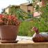 VILA ALKYON LUXURY RESORT, alojamiento privado en Sivota, Grecia - Vila Alkyion Luxury Resort