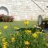 VILA ALKYON LUXURY RESORT, alojamiento privado en Sivota, Grecia - Vila Alkyion Luxury Resort